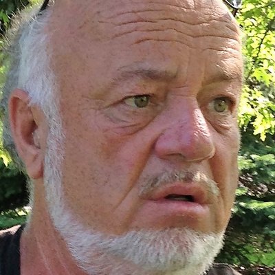 Profile Picture of Pigeon Daniel (@PigeonDaniel1) on Twitter