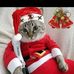 Profile Picture of Sharron Mike (@Sharron-Mike) on Facebook