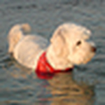 Profile Picture of Gary Graham (@gcg-co) on Flickr