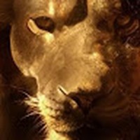 Profile Picture of Denny Flora (@denny-flora) on Quora