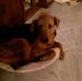Profile Picture of David Adair (@david.adair.7503) on Facebook