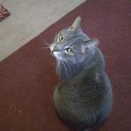 Profile Picture of Dennis Nelson (@Dennis-Nelson) on Facebook