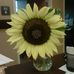 Profile Picture of Joyce Alexander (@joyce.alexander.142) on Facebook