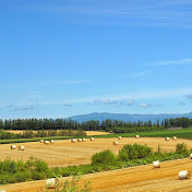 Profile Picture of Wang Hua (@wanghua4915) on Youtube