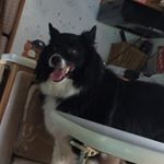 Profile Picture of Jake_Alex_Scheerer (@jake_scheerer123) on Instagram