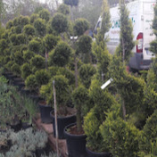 Profile Picture of Simeon Bojilov (@monibojilov) on Youtube