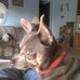 Profile Picture of William Tow (@william.tow.5) on Facebook