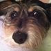 Profile Picture of Lisa Golaszewski Johnson (@lisa.g.johnson.37) on Facebook
