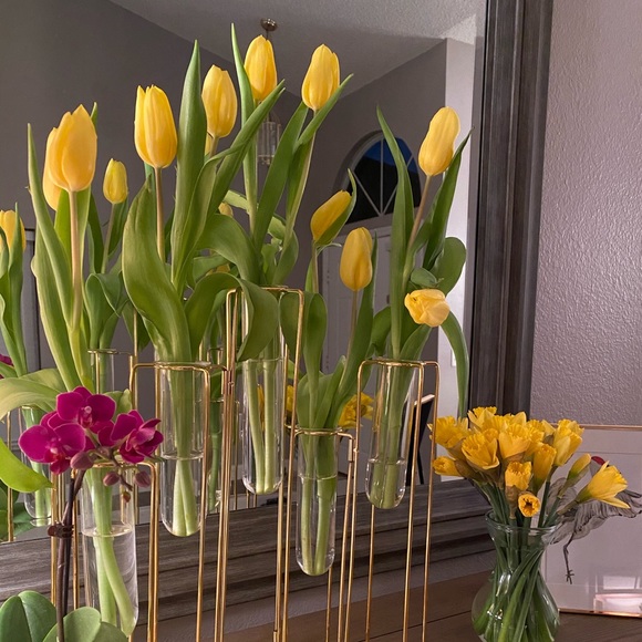 Profile Picture of Alyssa Bloxam (@alyssajuliet8) on Poshmark