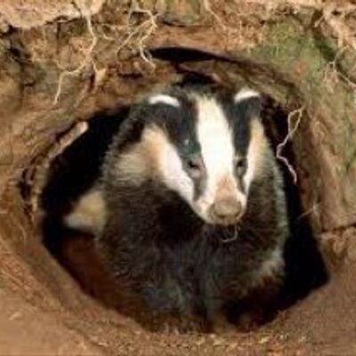 Profile Picture of Ken Badger (@danben2006) on Twitter