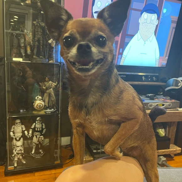 Profile Picture of Alexandra Cassara (@alexandra0988) on Poshmark