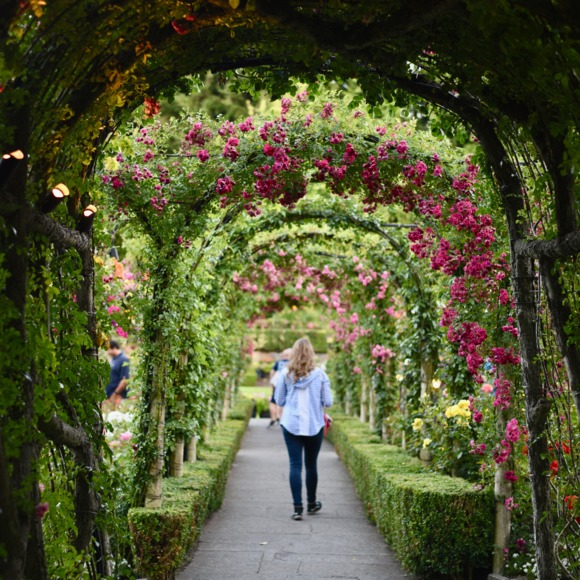 Profile Picture of Kimberly Weece (@yaelachad) on Poshmark