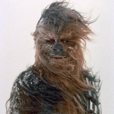 Profile Picture of Armando Zamarripa (@arzama49) on Twitter