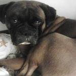 Profile Picture of Yolanda Hinojosa (@yolandahinojosanz) on Instagram