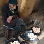 Profile Picture of aidan davies // melbourne (@aidanndavies) on Instagram