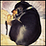 Profile Picture of Dani Holmes-Kirk (@IrishEyes1982) on Flickr