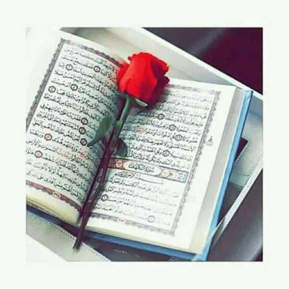 Profile Picture of Tammam Reghis (@temowbas) on Poshmark