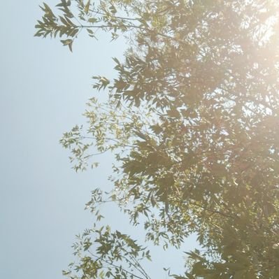 Profile Picture of Aimee Almanza (@AimeeAlmanza1) on Twitter