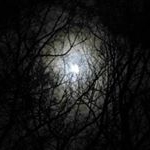 Profile Picture of Clark Crown (@clark.crown) on Instagram