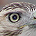 Profile Picture of Wade Hunt (@whunt1270) on Flickr