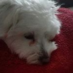 Profile Picture of Mattéo Augros (@m.augros) on Instagram