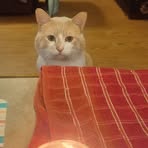 Corey Black - Facebook Profile Picture of Corey Black (@Corey-Black) on Facebook