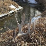 Profile Picture of Brian Kilpin (@brian.kilpin) on Facebook