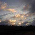 Profile Picture of Wes Boyd (@wes_boyd04) on Instagram