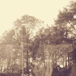 Profile Picture of Haley denton (@haleydenton21) on Instagram