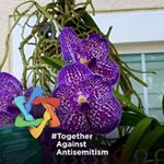 Profile Picture of Linda Schiff (@lindajudith418) on Instagram