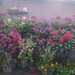 Profile Picture of Edward Uniewski (@Edward-Uniewski) on Facebook