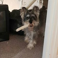 Profile Picture of Paul Greystoke (@paulgreystoke) on Tiktok