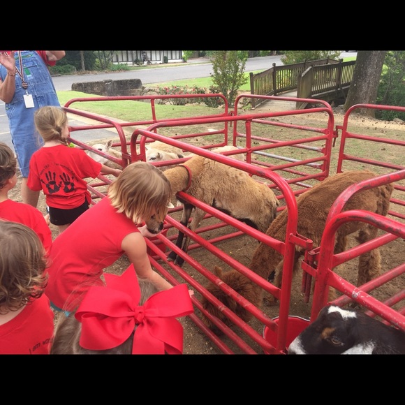 Profile Picture of Jeri Gray (@jlg521) on Poshmark