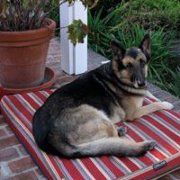 Phyllis Beers - Pinterest Profile Picture of Phyllis Beers (@phylly54) on Pinterest