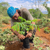 Profile Picture of Joe Brewer (@JoeBrewer) on Youtube