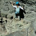 Profile Picture of Ginger T Rex (@gingert.rex) on Instagram