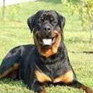 Jazmine Kemp - Facebook Profile Picture of Jazmine Kemp (@jazmine.kemp.16) on Facebook