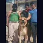 Profile Picture of فرامرز براهویی (@dag_salehabad) on Instagram