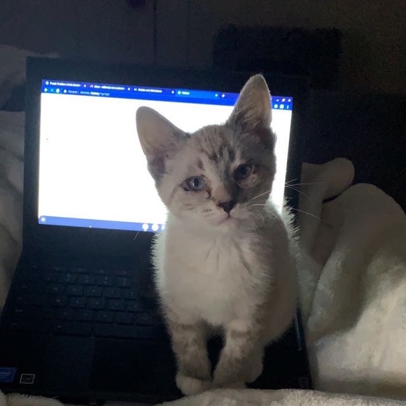 Profile Picture of Serenity Williams (@serenitywill284) on Poshmark