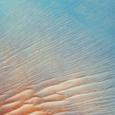 Profile Picture of A (@BlakeBrock_) on Twitter