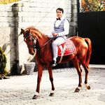 Profile Picture of Reza Razmi (@_reza.razmi.71) on Instagram