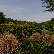 Profile Picture of Christopher Corrado (@christophercorrado) on Youtube