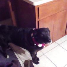 Profile Picture of Codi Nelson (@nelson_codi) on Twitter