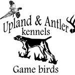 Profile Picture of Scott Casterline (@antler_and_upland_pointingdog) on Instagram