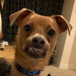 Profile Picture of Bad Friend Rudy (@badfriendrudy) on Instagram