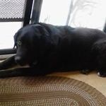 Profile Picture of Maretta Warner (@marettawarner) on Instagram