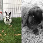 Profile Picture of Agnes Jones (@agnessigne) on Instagram