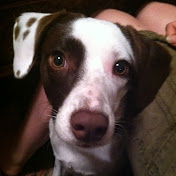 Profile Picture of Jason Odom (@vacationbeachpics) on Youtube