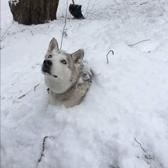 Heather Klusman - Poshmark Profile Picture of Heather Klusman (@hnklusman) on Poshmark