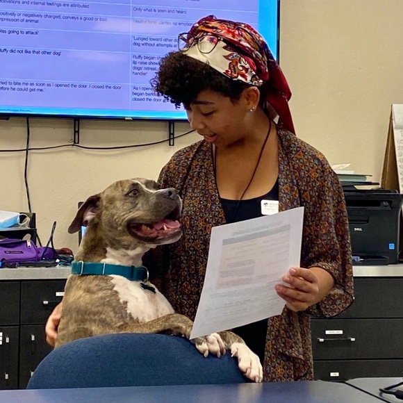 Profile Picture of Angelina Mccaster (@procrastelina) on Poshmark